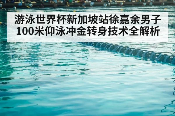 competitive swimming pool lanes