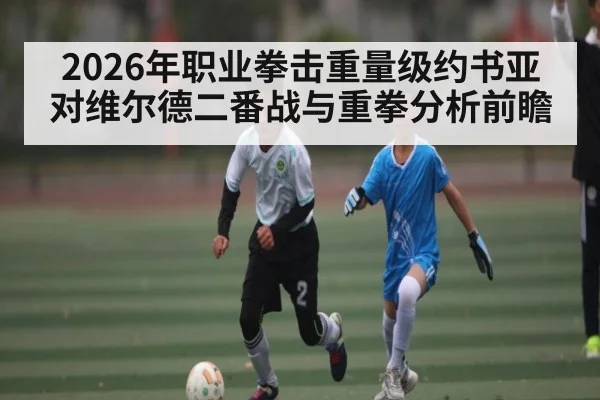 2026年职业拳击重量级约书亚对维尔德二番战与重拳分析前瞻